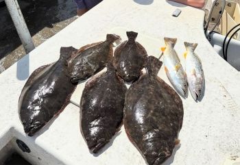 TW’s Bait & Tackle, Flounder Season Opener