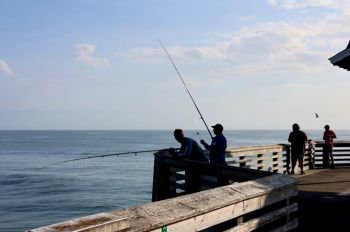 Jennette's Pier, Bluefish, Spanish Mackerel & Sea Mullet
