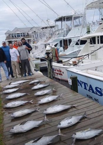 Oregon Inlet Fishing Center, Blackfin Tuna Weekend
