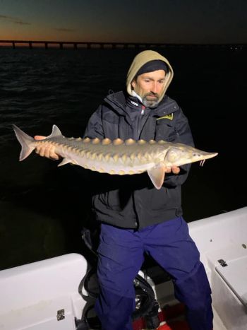 tw's bait and tackle