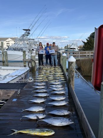 Pirate's Cove Marina, Saturday Sails!
