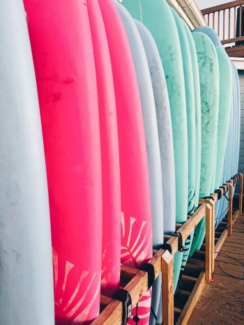 Kitty Hawk Surf Co., The Board Meeting