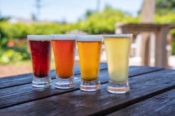 Outer Banks Brewing Station, Brewery Tours & Beer Tastings