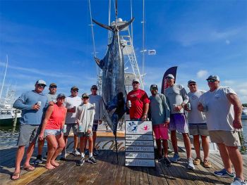 Pirate's Cove Marina, Pirates Cove Billfish Tournament