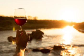 TRiO Restaurant & Market, Wine Tasting: The Odyssey Tasting