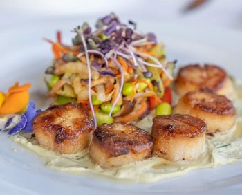 Ocean Boulevard Bistro & Martini Bar, Pan Seared Sea Scallops