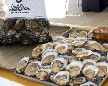 Win 2 Tickets to Roanoke Island Oyster Shellabration & BBQ