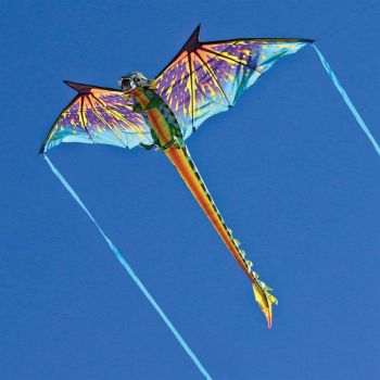 Kitty Hawk Kites, 3D Dragon Kite