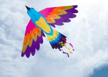 Kitty Hawk Kites, Easy to Fly Kites