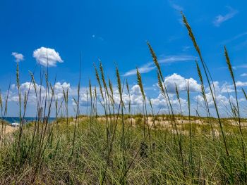 Joe Lamb, Jr. & Associates, Rental Deals & Discounts