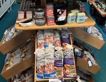 Artsy Octopus, Buy One, Get One All Food