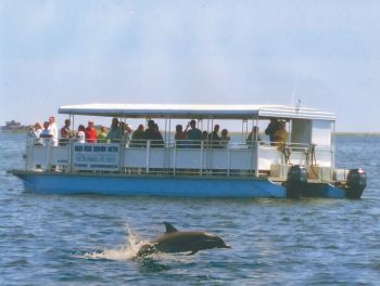 Kitty Hawk Kites, Dolphins & Lunch