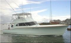 Sea Note Charters photo