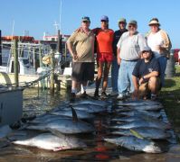 Sea Note Charters photo