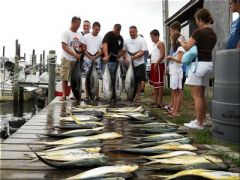 Sea Note Charters photo