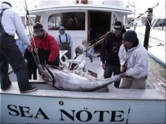 Sea Note Charters photo