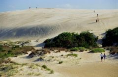 Jockey&#039;s Ridge State Park photo