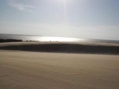 Jockey&#039;s Ridge State Park photo