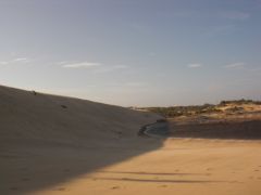 Jockey&#039;s Ridge State Park photo