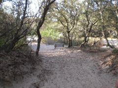 Jockey&#039;s Ridge State Park photo