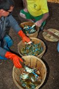Outer Banks Seafood Festival photo