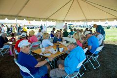 Outer Banks Seafood Festival photo
