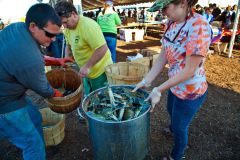 Outer Banks Seafood Festival photo
