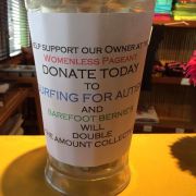 Surfing for Autism photo