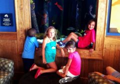 Surfing for Autism photo