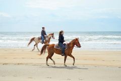 Kitty Hawk Kites photo