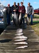 True Grit Sportfishing photo
