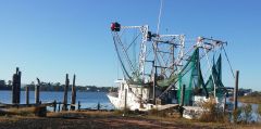 Billy’s Seafood photo