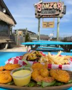 Bonzer Shack Bar &amp; Grill photo