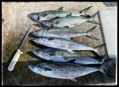 Jennette&#039;s Pier photo