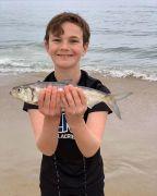 Oceans East Bait &amp; Tackle Nags Head photo