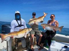 Oceans East Bait &amp; Tackle Nags Head photo