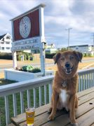Jack Brown's Beer &amp; Burger Joint photo