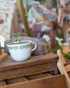 Marsh Fox Market photo