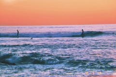 Surfrider Foundation Outer Banks photo