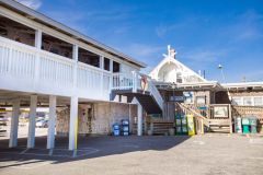 Black Pelican Oceanfront Restaurant photo