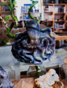 Traveler's Moon photo