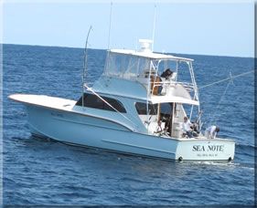 Sea Note Charters photo