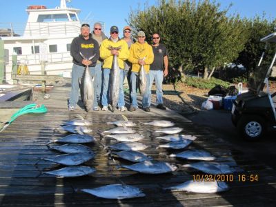 Pirate&#039;s Cove Marina photo