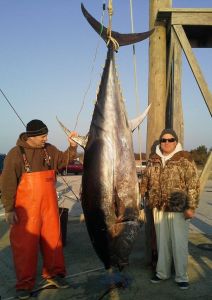 Oregon Inlet Fishing Center photo