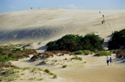 Jockey&#039;s Ridge State Park photo