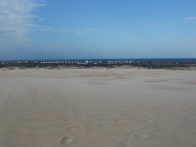 Jockey&#039;s Ridge State Park photo