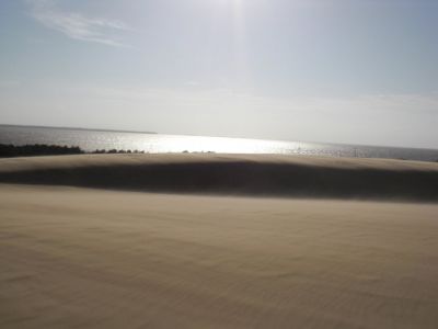 Jockey&#039;s Ridge State Park photo