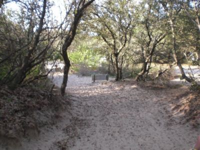 Jockey&#039;s Ridge State Park photo