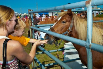 Outer Banks Seafood Festival photo