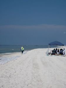 Surfrider Foundation Outer Banks photo